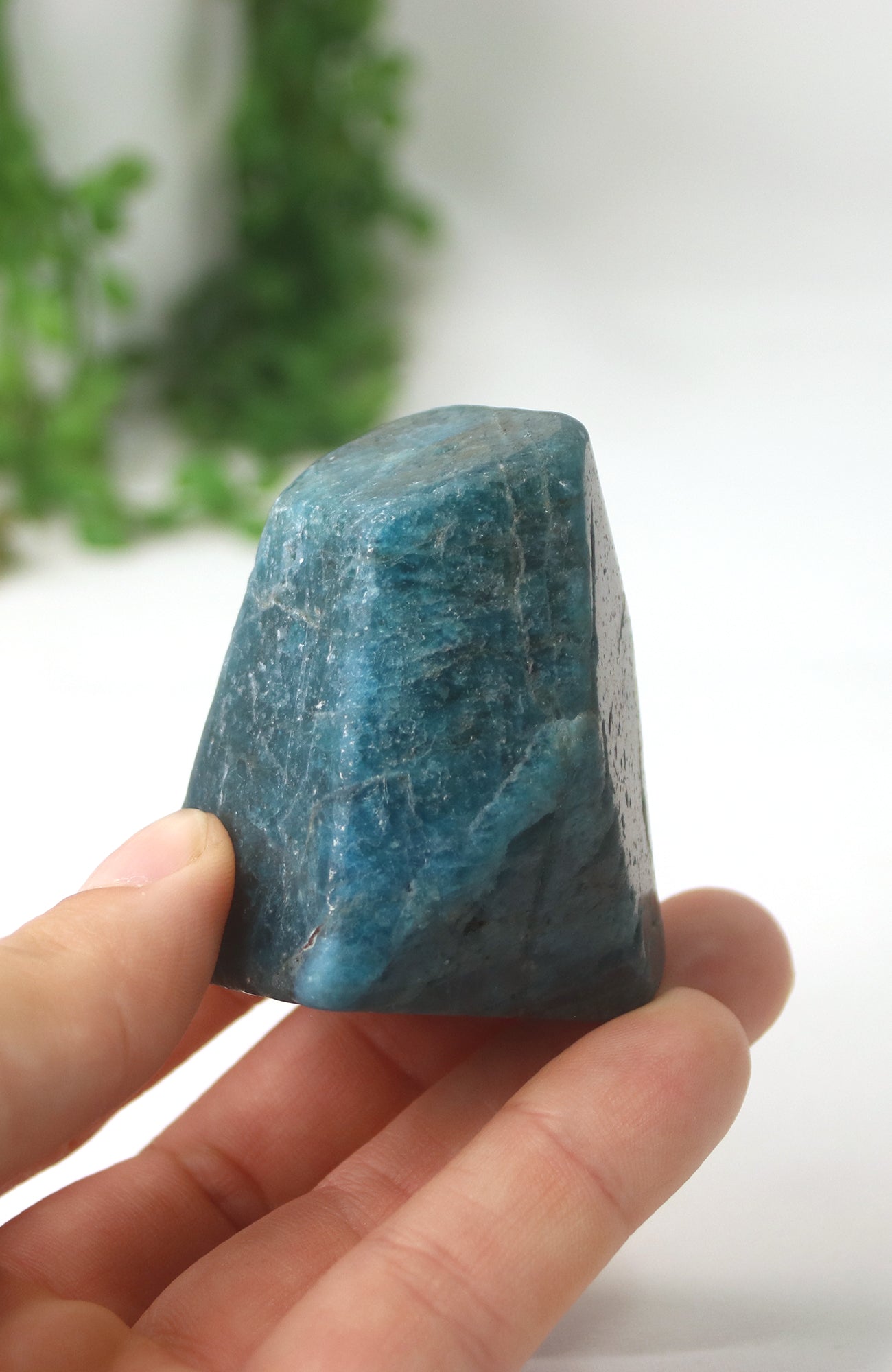 Blue Apatite Freeform